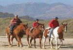 horseback_rides_San_Francisco_Bay_Area_Horse_Riding