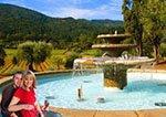 golden_img1