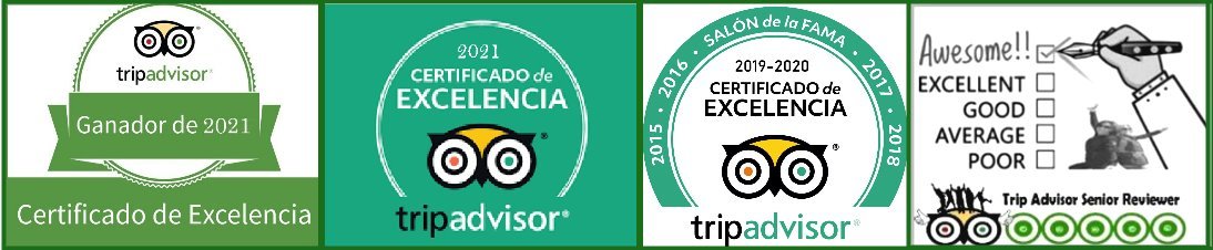 Tours_reviews_Lake_Tahoe_Activity_trip_advisor