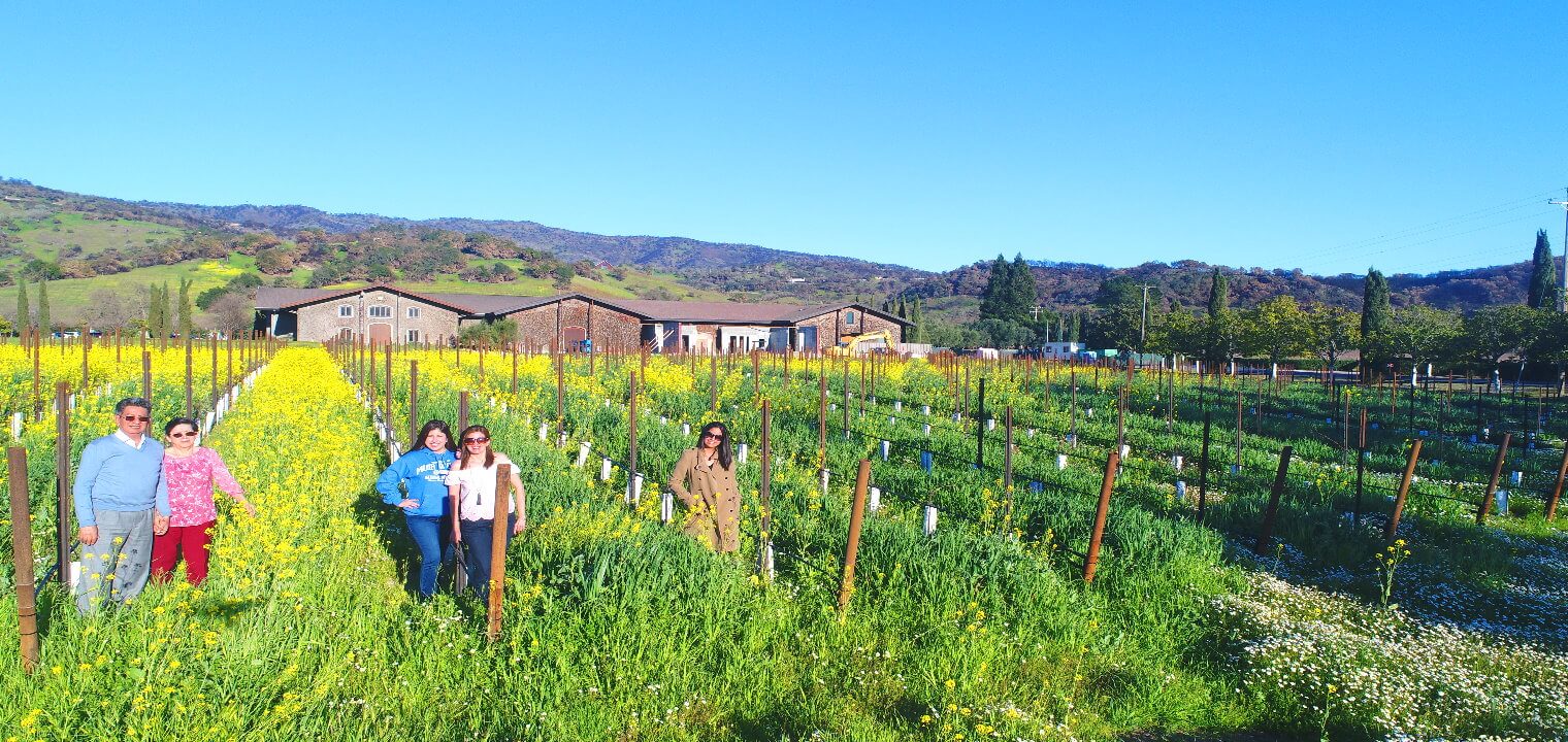 Excursion-a-napa-regiones-vinicolas.jpg