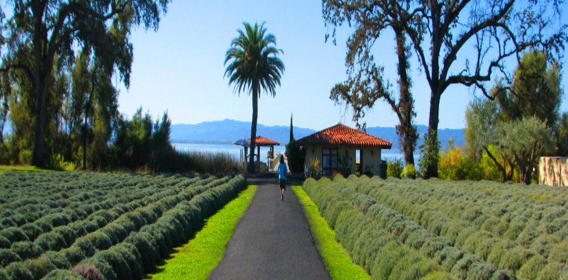 Lake-County-Wine-Tasting.jpg