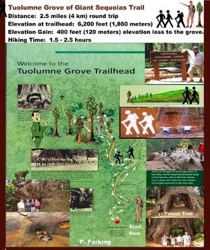 Tuolumne Grove of Giant Sequoias Map Hiking Trail .jpg