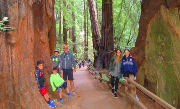 /storage/images/homepage/redwoods-wine-monterey/Excursion-to-Redwoods-Forest-Muir-Woods-Park-Tall-Trees-Trail-Entrace-Tickets-Booking-Parking.jpg