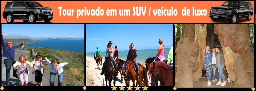 PT-horseback-redwoods-SUV