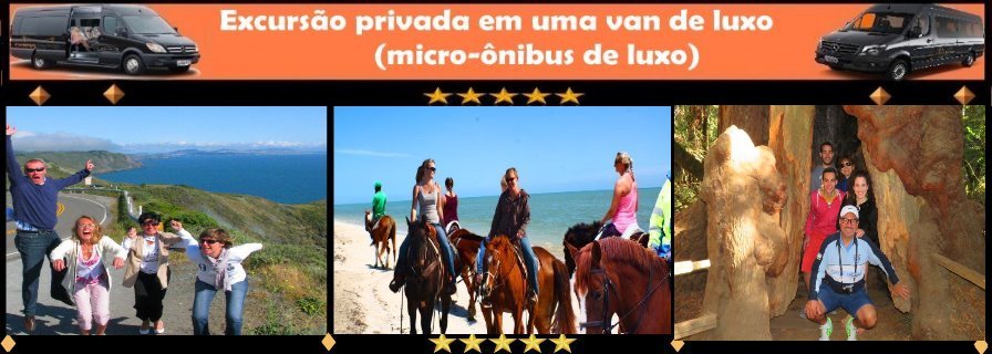 PT-horseback-redwoods-VAN