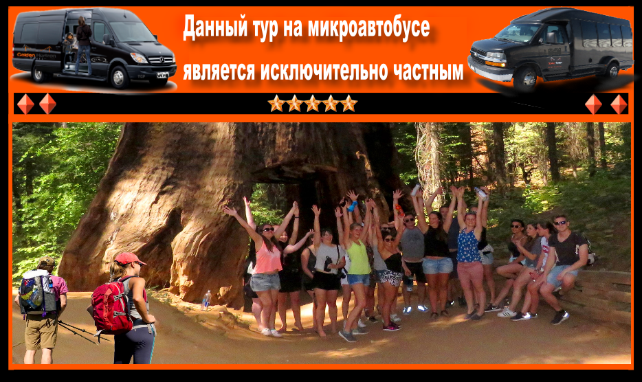 Yosemite-Guided-Tours-Sequoias-Park-russkiy-gid
