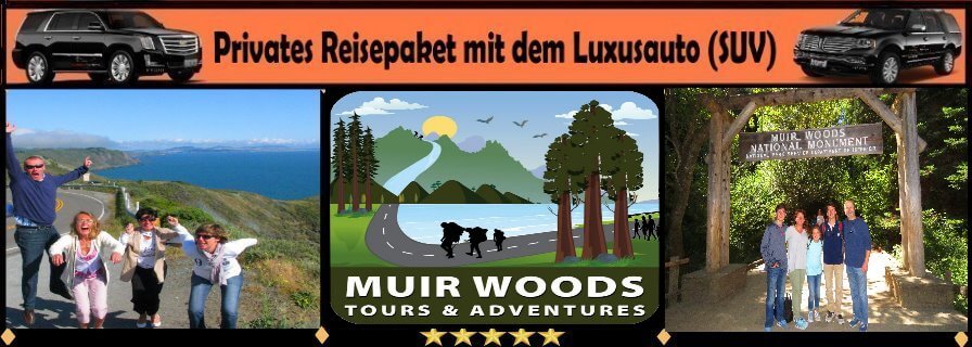 excursions-german-muir-woods-redwoods-point-reyes