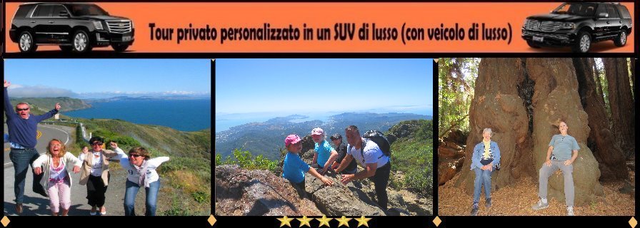excursions-tour-di-muir-woods-redwoods-point-reyes-suv