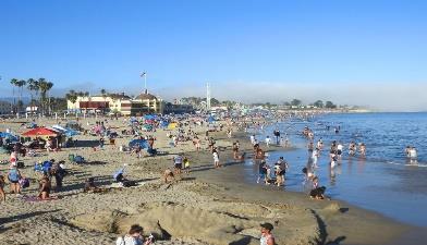 big-basin-redwoods-state-park-tours-sanfrancisco-san-jose