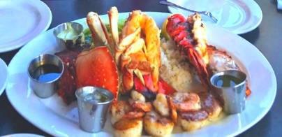 Tours_reviews_Lake_Tahoe_Activity_trip_advisor