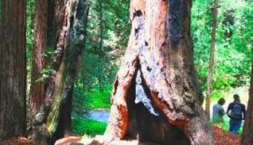 Tours_reviews_Lake_Tahoe_Activity_trip_advisor