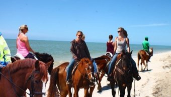 paseo_a_caballo_por_la_playa_cerca_del_área_de_la_bahía_de_san_francisco_y_monterrey.jpg