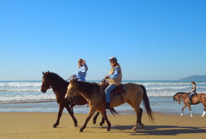 passeio_a_cavalo_na_praia_perto_da_área_da_baía_de_são_francisco_e_monterey.jpg