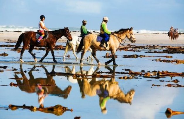 reiten_am_strand_in_der_nähe_von_san_francisco_bay_area_und_monterey.jpg