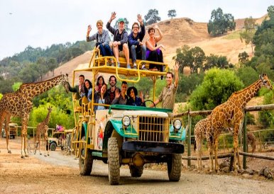 safari_jeep_adventure_redwoods_napa_wine_tour.jpg